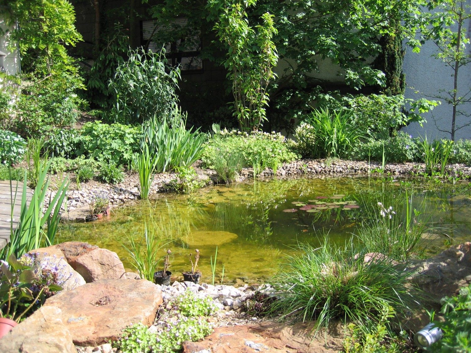 Der naturnahe Garten HaggMoser Garten und Landschaftsbau, Albstadt